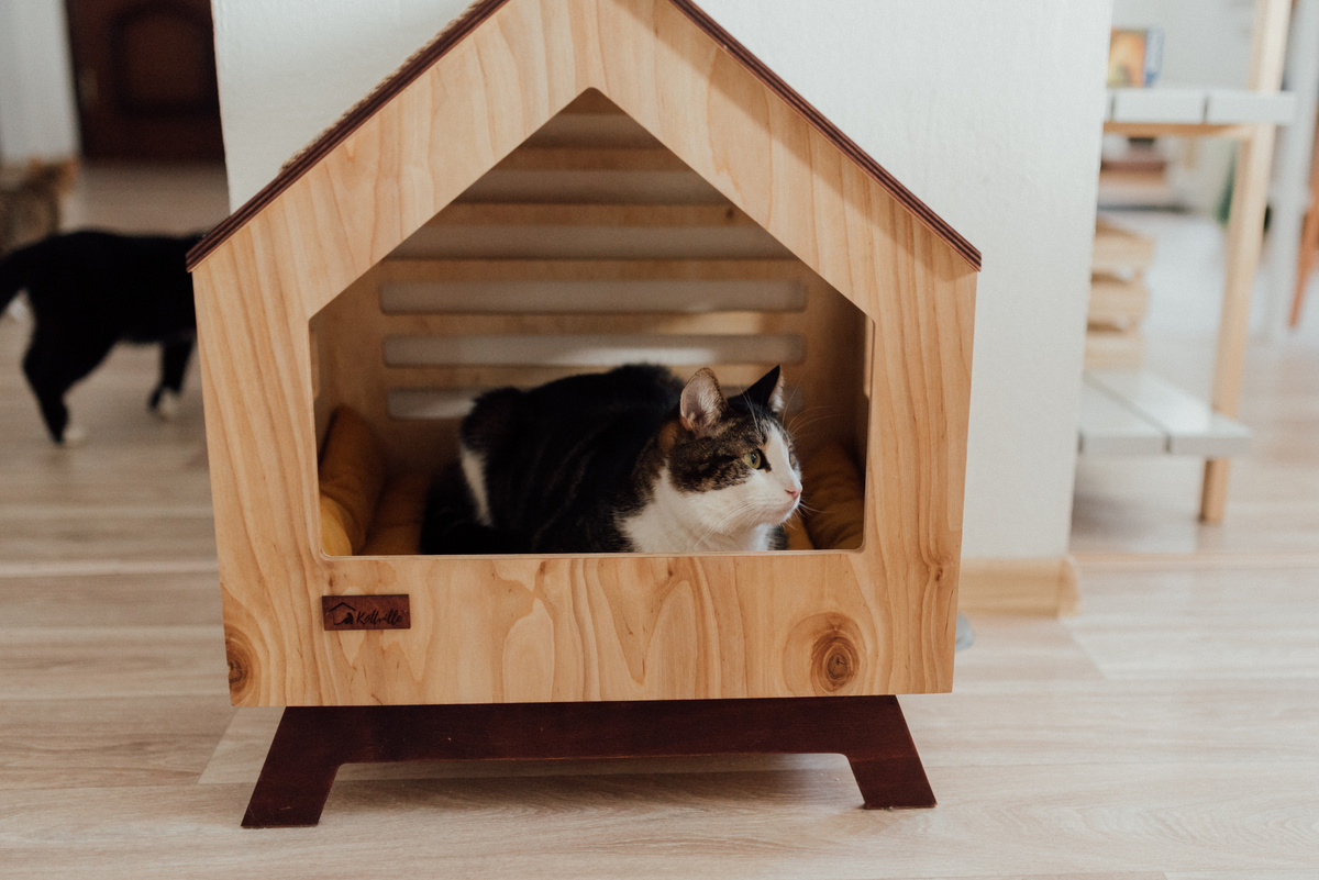 A Cat Lying in Wooden Pet House